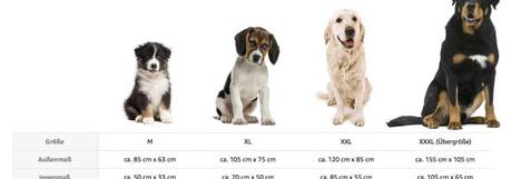 Größe des Hundes für Bett beachten