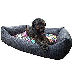 Hundebett Test 2019 – Vergleich der besten Hundebetten