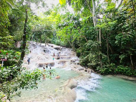 Die schönsten Wasserfälle Jamaikas