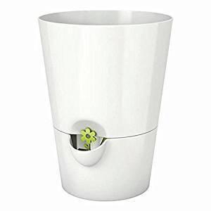 Emsa Kräutertopf Fresh Herbs