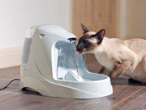 Trinkbrunnen Katze PetSafre 5 Liter Drinkwell