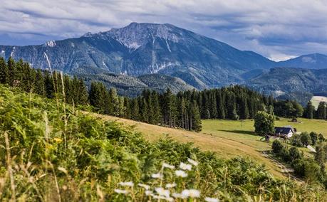 Der Naturpark Ötscher-Tormäuer startet mit neuem Naturparkkonzept in die Zukunft