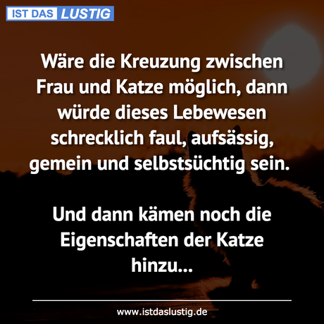 Lustiger BilderSpruch - Wäre die Kreuzung zwischen Frau und Katze...