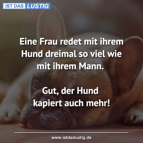 Lustiger BilderSpruch - Eine Frau redet mit ihrem Hund dreimal so viel...