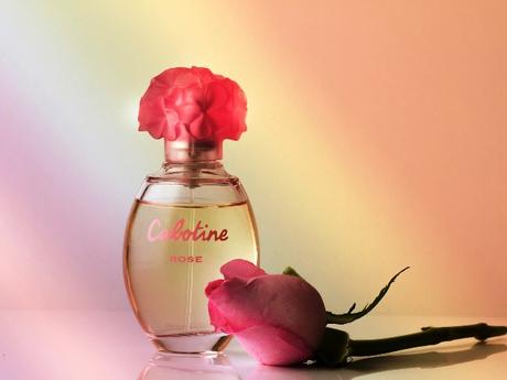 Parfüms – weitere Informationen
