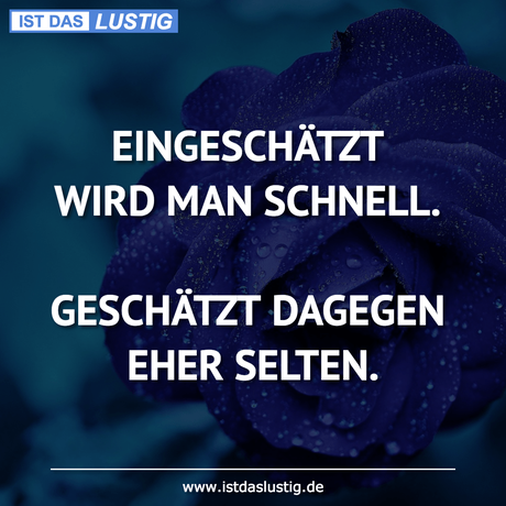 Lustiger BilderSpruch - EINGESCHÄTZT WIRD MAN SCHNELL.  GESCHÄTZT...