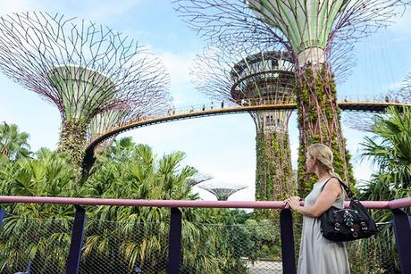Singapur | Sightseeing: Gardens by the Bay
