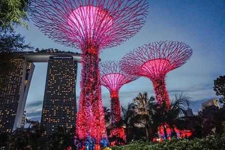 Singapur | Sightseeing: Gardens by the Bay