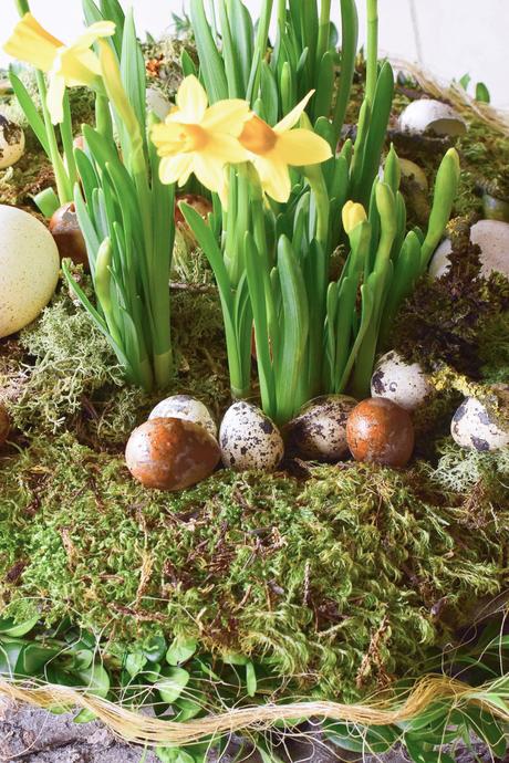 Osterdeko mit Natur: DIY Osternest mit Moos, Holzkranz, Narzissen, Eiern, Buchs. Einfach selber machen Ostern Dekoidee