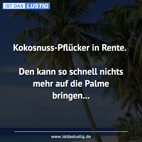 Lustiger BilderSpruch - Kokosnuss-Pflücker in Rente.  Den kann so...