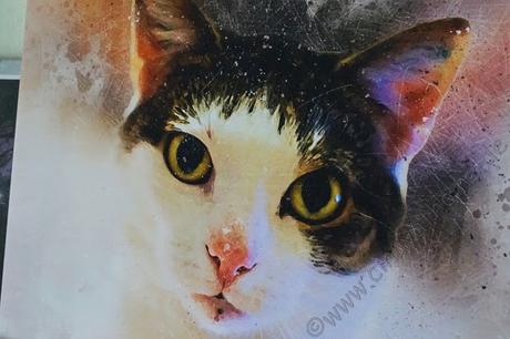 Mit Pix Mix habe ich eine Erinnerung der ganz besonderen Art an Püpschen #Bilder #Katzen #Watercolor