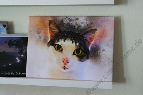 Mit Pix Mix habe ich eine Erinnerung der ganz besonderen Art an Püpschen #Bilder #Katzen #Watercolor