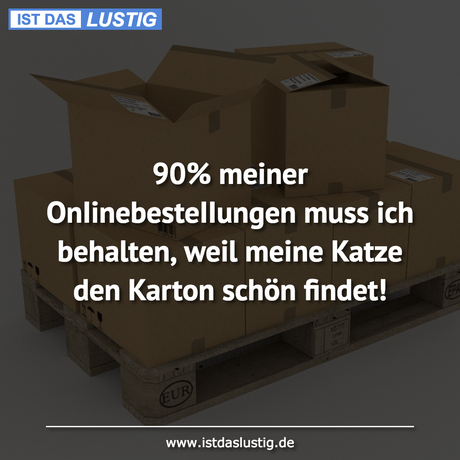 Lustiger BilderSpruch - 90% meiner OnIinebesteIIungen muss ich...