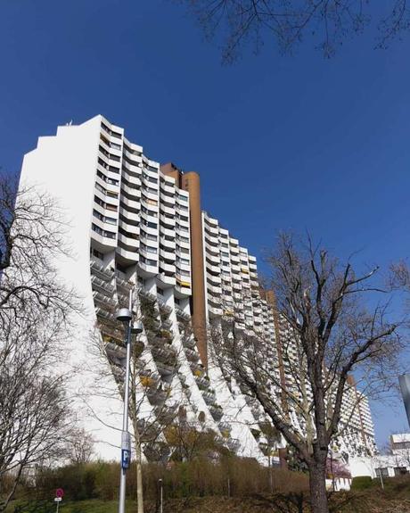 Picture my day Day 30 #pmdd30