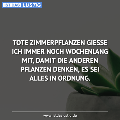 Lustiger BilderSpruch - TOTE ZIMMERPFLANZEN GIESSE ICH IMMER NOCH...