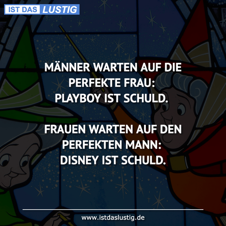 Lustiger BilderSpruch - MÄNNER WARTEN AUF DIE PERFEKTE FRAU: PLAYBOY...