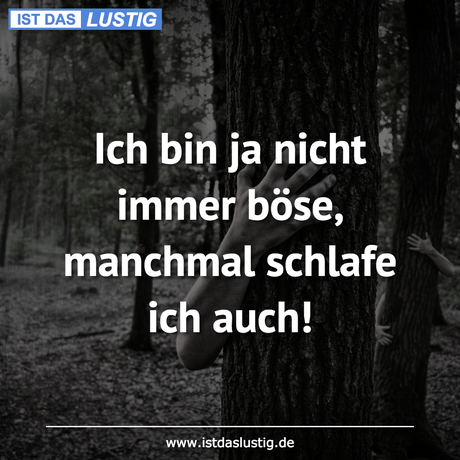 Lustiger BilderSpruch - Ich bin ja nicht immer böse, manchmal schlafe...