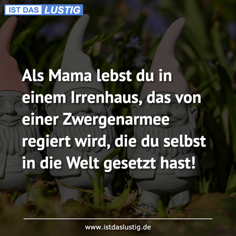 Lustiger BilderSpruch - Als Mama lebst du in einem Irrenhaus, das von...