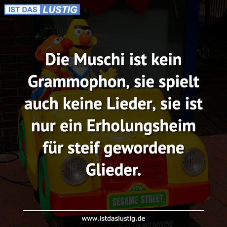 Lustiger BilderSpruch - Die Muschi ist kein Grammophon‚ sie spielt auch...