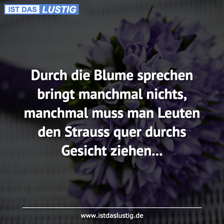 Lustiger BilderSpruch - Durch die Blume sprechen bringt manchmal...