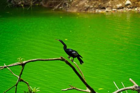 Die Costa Rica Jungle Adventure Tour: Arenal Nationalpark, Arenal Observatory, Rio Arenal