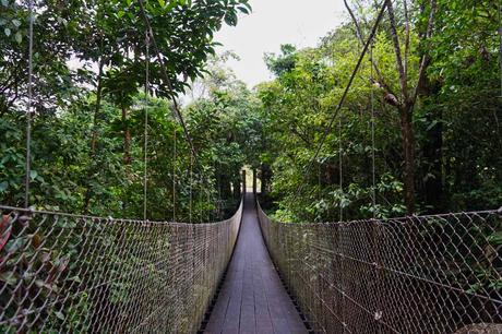 Hängebrücke Costa Rica