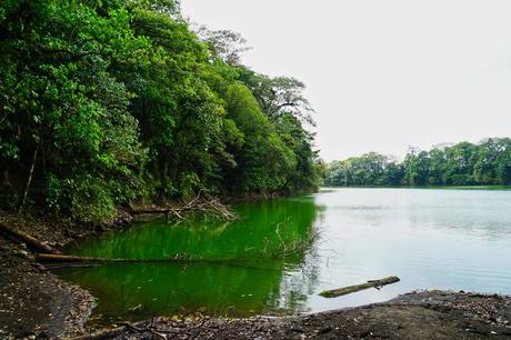 Die Costa Rica Jungle Adventure Tour: Arenal Nationalpark, Arenal Observatory, Rio Arenal