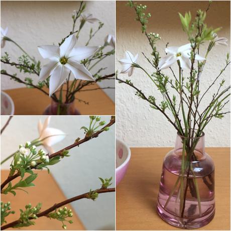 Friday-Flowerday – oder – Vom Balkon auf den Tisch