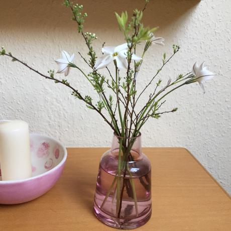 Friday-Flowerday – oder – Vom Balkon auf den Tisch