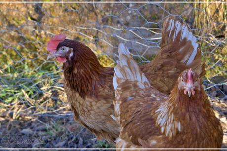 Samstagsplausch [14|19]