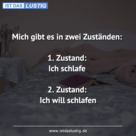 Lustiger BilderSpruch - Mich gibt es in zwei Zuständen:  1. Zustand:...