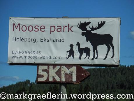 Moose Park, Ekshärad, Schweden – Elchbegegnung hautnah