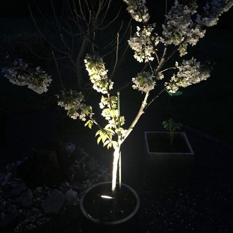 Gartenbeleuchtung von Hengda – mit Gewinnspiel