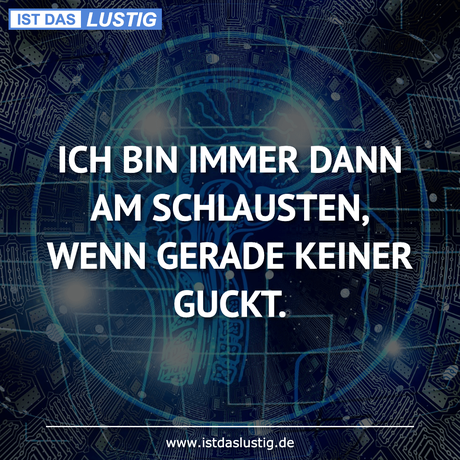 Lustiger BilderSpruch - ICH BIN IMMER DANN AM SCHLAUSTEN, WENN GERADE...