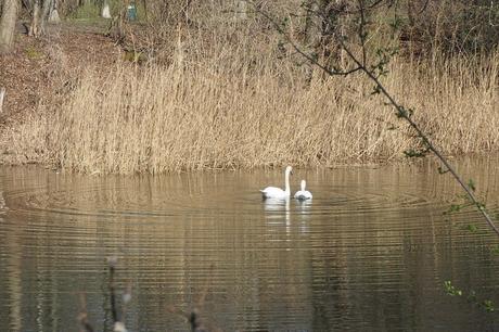 {Unterwegs} Wien: Stadtwanderweg 9 – Prater