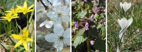 {Unterwegs} Wien: Stadtwanderweg 9 – Prater