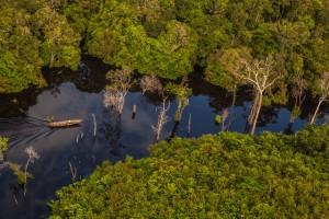 Luftbild vom Amazonasgebiet (© Embratur)