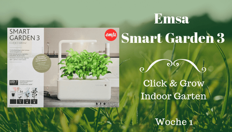 Emsa Smart Garden 3 – Woche 1
