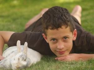 Kaninchenstall Herkunft Kaninchen