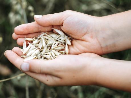 Vegane Milch: einfach und günstig selber herstellen