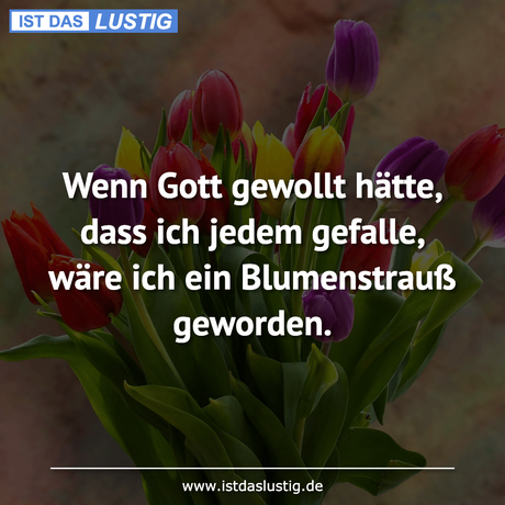Lustiger BilderSpruch - Wenn Gott gewollt hätte, dass ich jedem...