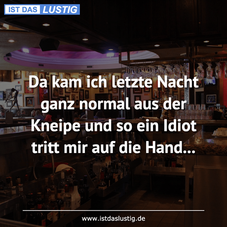 Lustiger BilderSpruch - Da kam ich letzte Nacht ganz normal aus der...