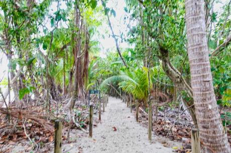 Manuel Antonio Nationalpark in Costa Rica – ein Erfahrungsbericht