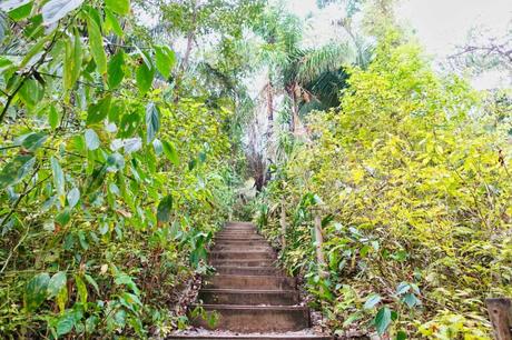 Manuel Antonio Nationalpark in Costa Rica – ein Erfahrungsbericht