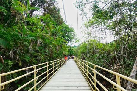 Manuel Antonio Nationalpark in Costa Rica – ein Erfahrungsbericht