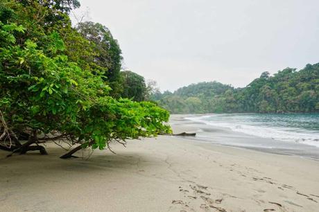 Manuel Antonio Nationalpark in Costa Rica – ein Erfahrungsbericht