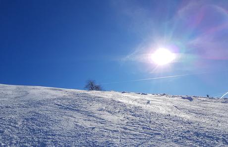 Skifahren in der Skiregion Dachstein West in Gosau