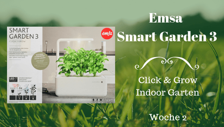 Emsa Smart Garden 3 – Woche 2