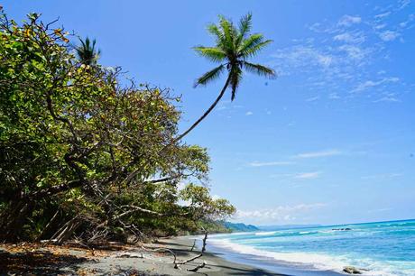 Natur pur im Corcovado Nationalpark auf der Halbinsel Osa