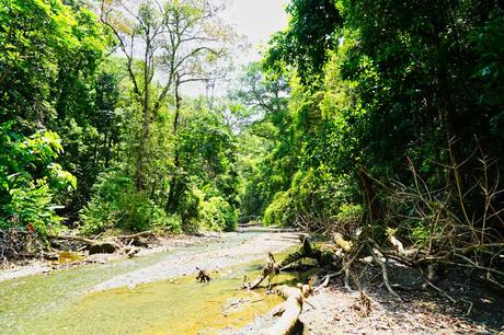Natur pur im Corcovado Nationalpark auf der Halbinsel Osa